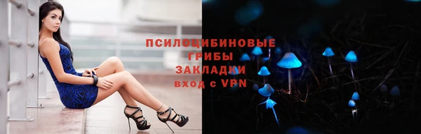 круглые Вяземский