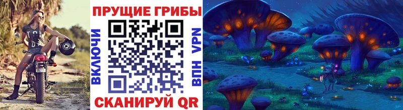 Псилоцибиновые грибы Psilocybe  Петухово 
