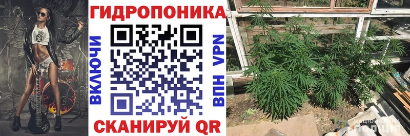 мега онион  Петухово  Марихуана LSD WEED 